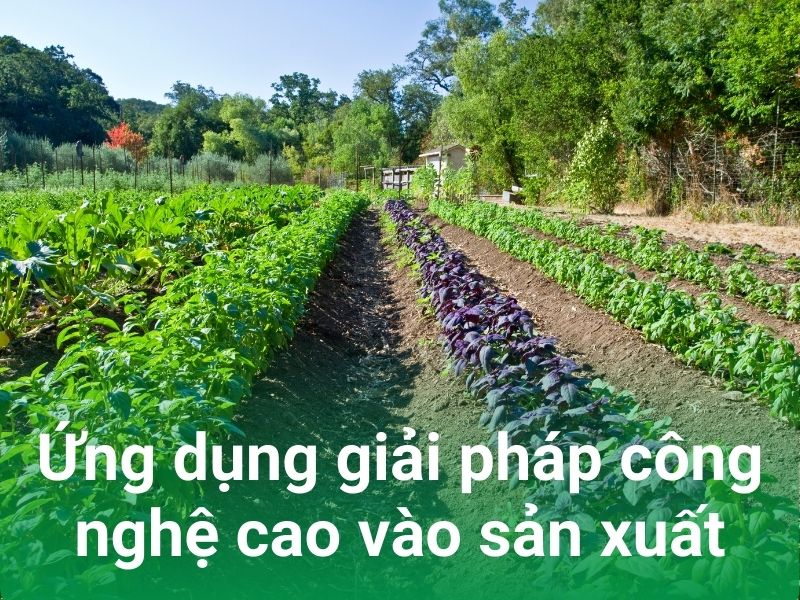 ung dung giai phap cong nghe cao vao san xuat