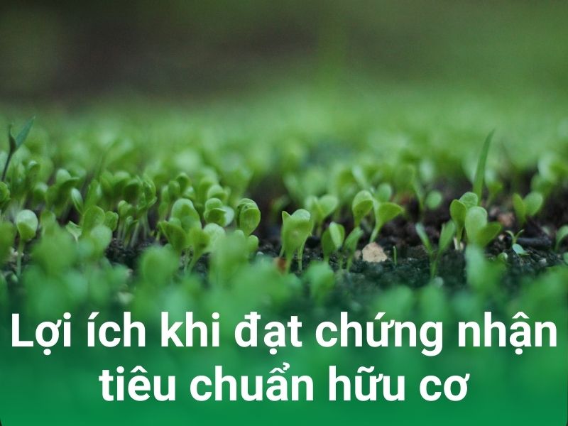 loi ich khi dat chung nhan huu co