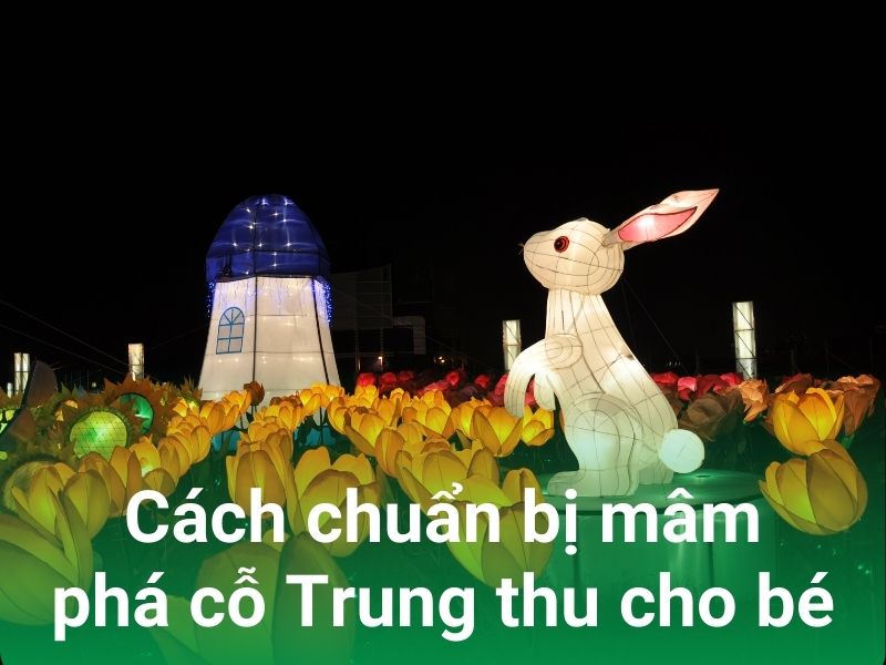 chuan bi mam co cho be