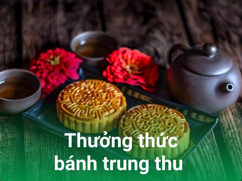 tet doan vien an banh trung thu