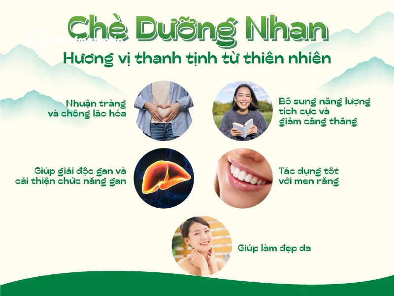 cong dung cua che thao moc