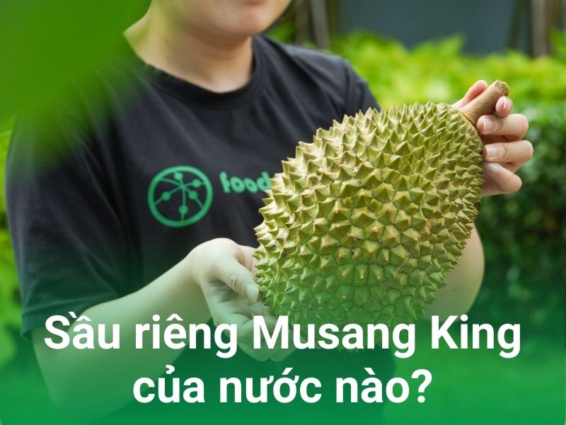 sau rieng musang king la cua nuoc nao