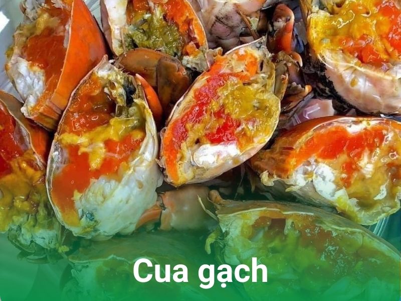 cua gach ca mau