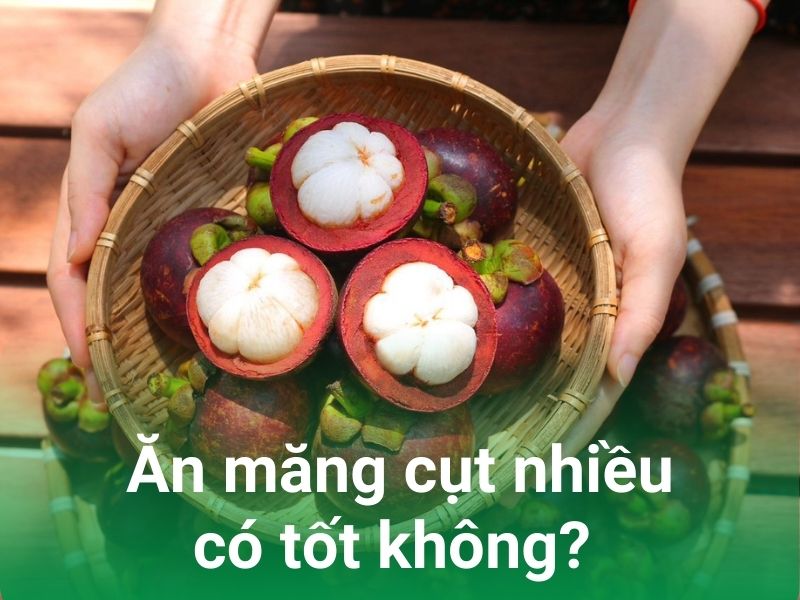 an mang cut nhieu co tot khong