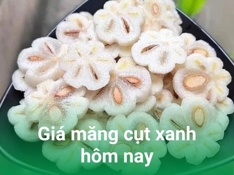 gia mang cut xanh