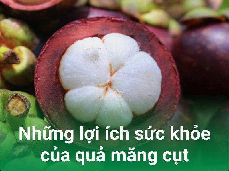 nhung loi ich suc khoa cua qua mang cut