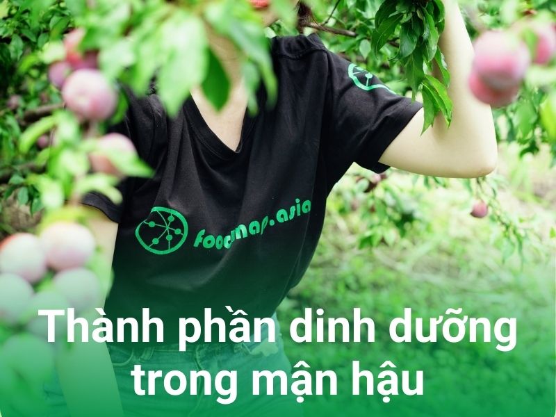 thanh phan dinh duong trong man hau