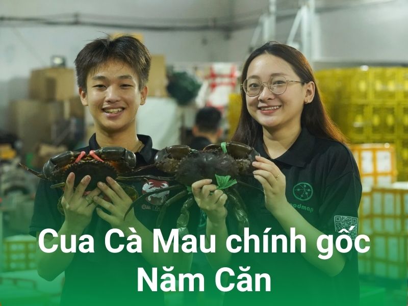 cua ca mau chinh goc nam can