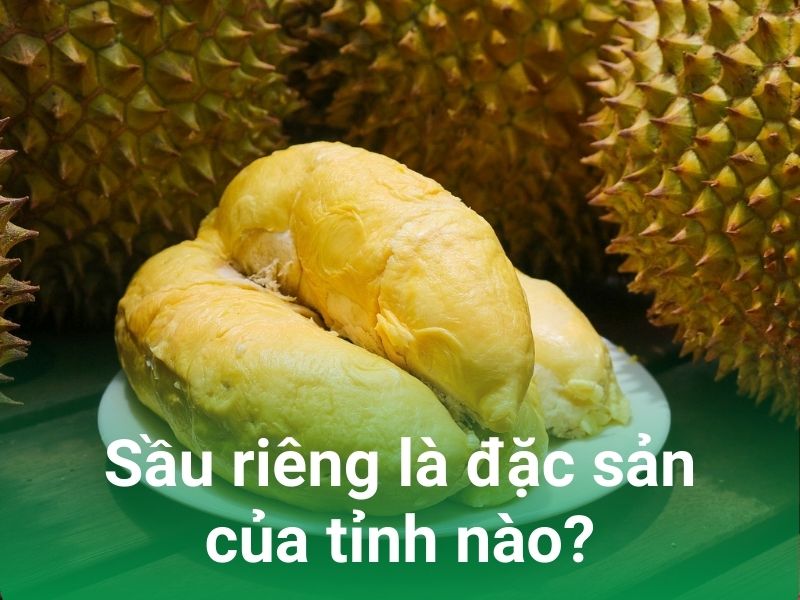 sau rieng la dac san cua tinh nao