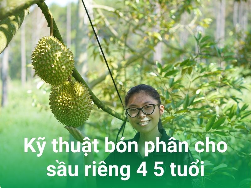 ky thuat bon phan cho sau rieng 