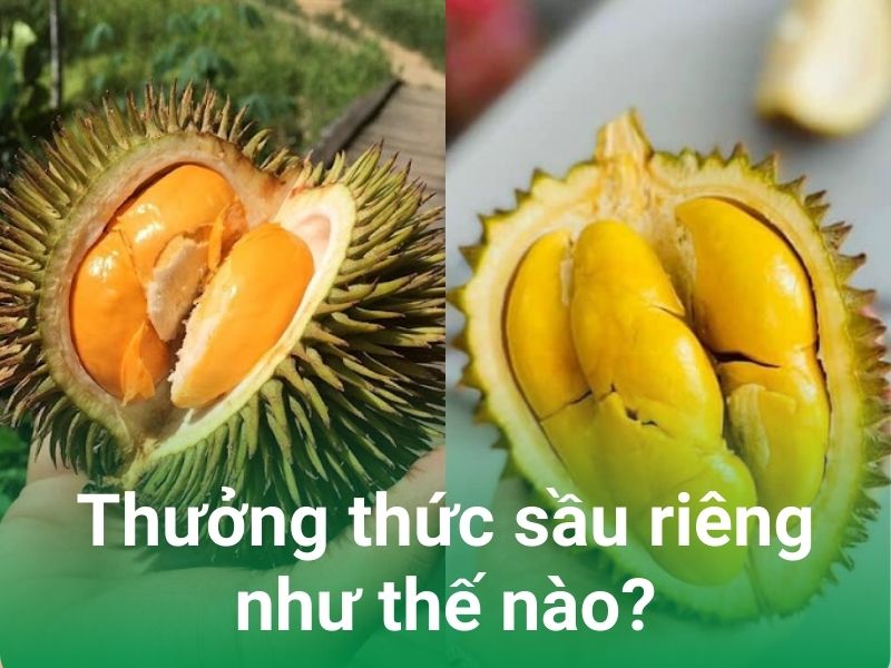 thuong thuc sau rieng nhu the nao