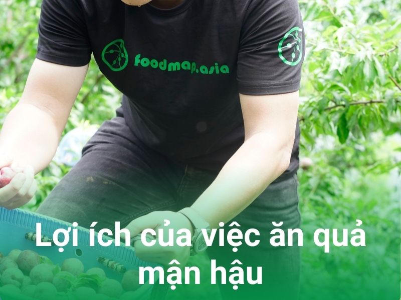 loi ich cua viec an man hau