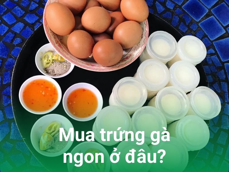 dia diem mua trung ga long dao ngon