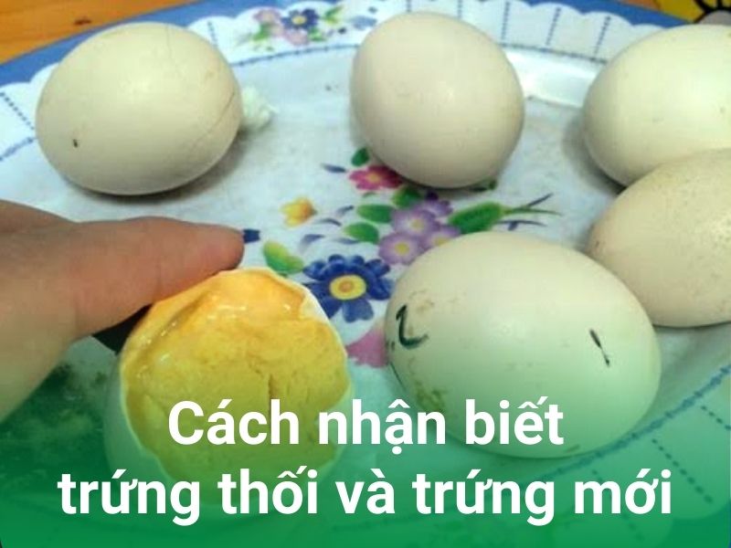 cach nhan biet trung thoi va trung moi