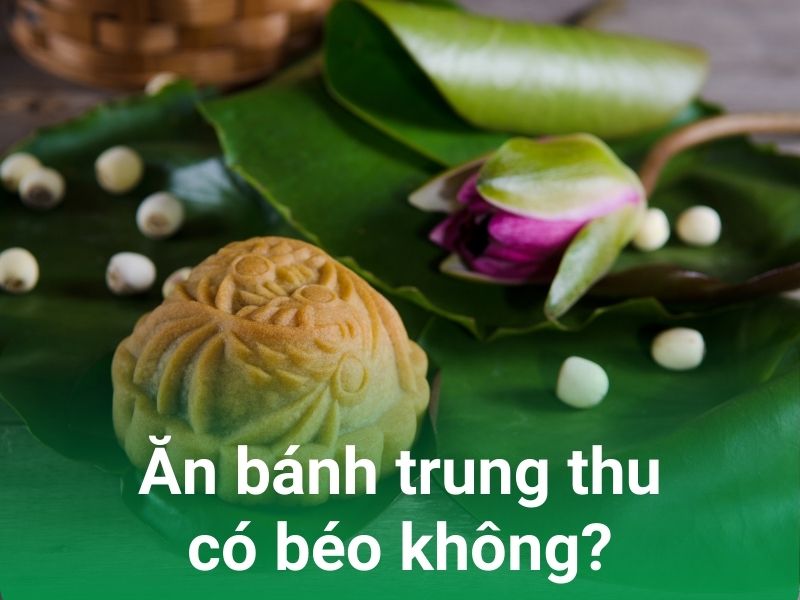 banh trung thu an co beo khong