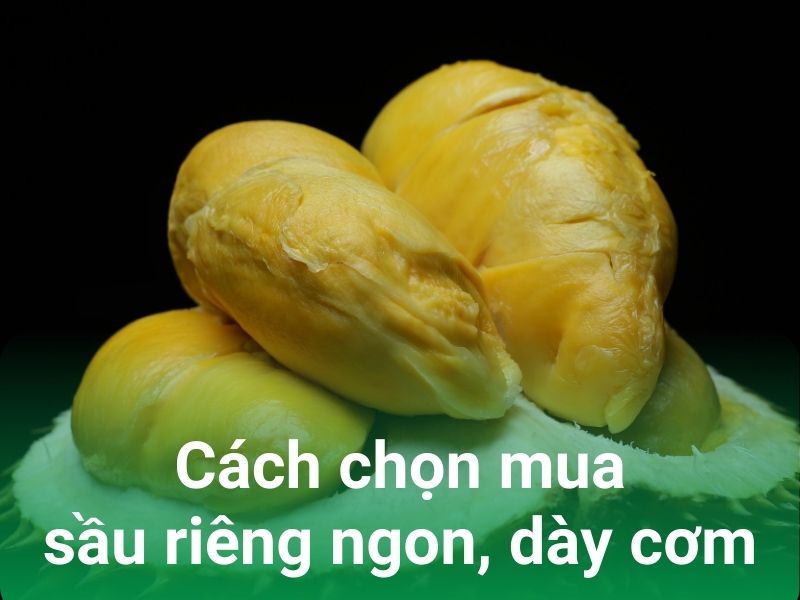 cach chon sau rieng com day hat lep