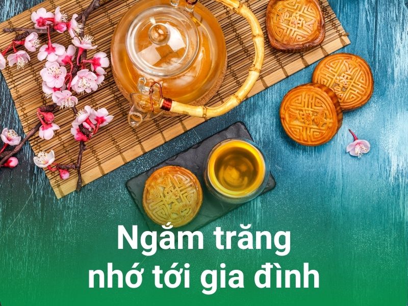 ngam trang an banh cung gia dinh