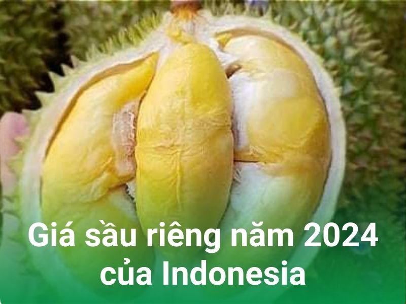 gia sau rieng nam 2024