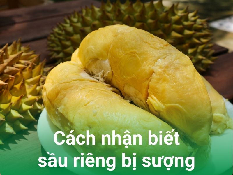 cach nhan biet sau rieng suong