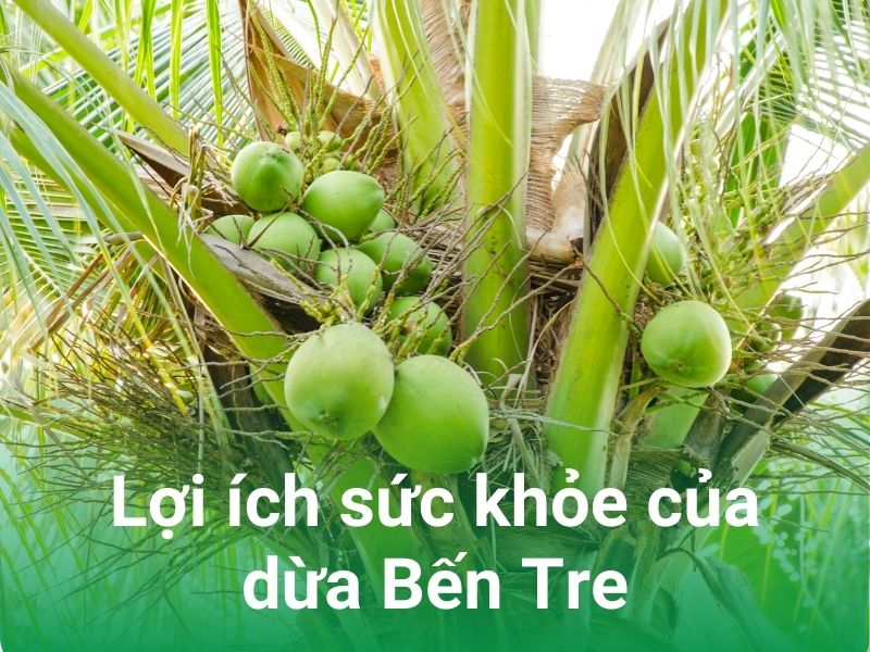 loi ich suc khoe cua qua dua