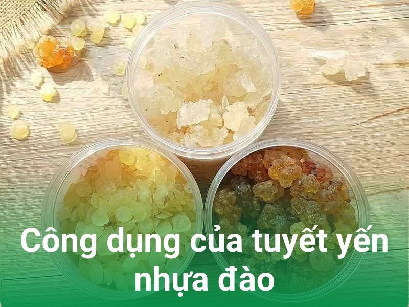 cong dung cua tuyet yen nhua dao