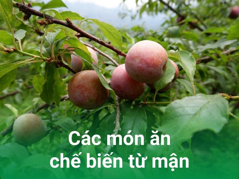 cac mon an che bien tu man