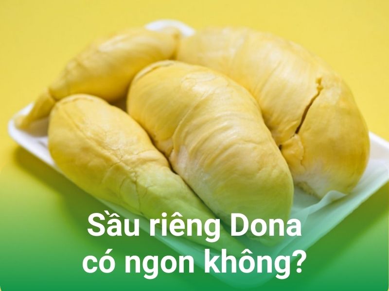 sau rieng dona co ngon khong