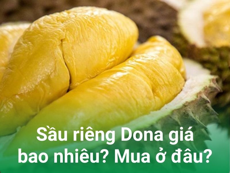 sau rieng dona gia bao nhieu