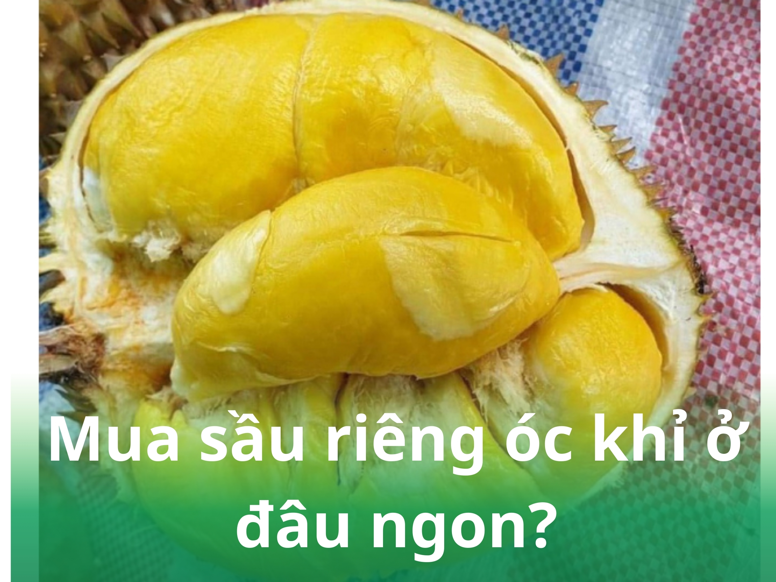 mua sau rieng oc khi o dau ngon 