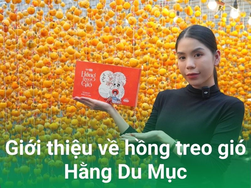 gioi thieu hong treo gio