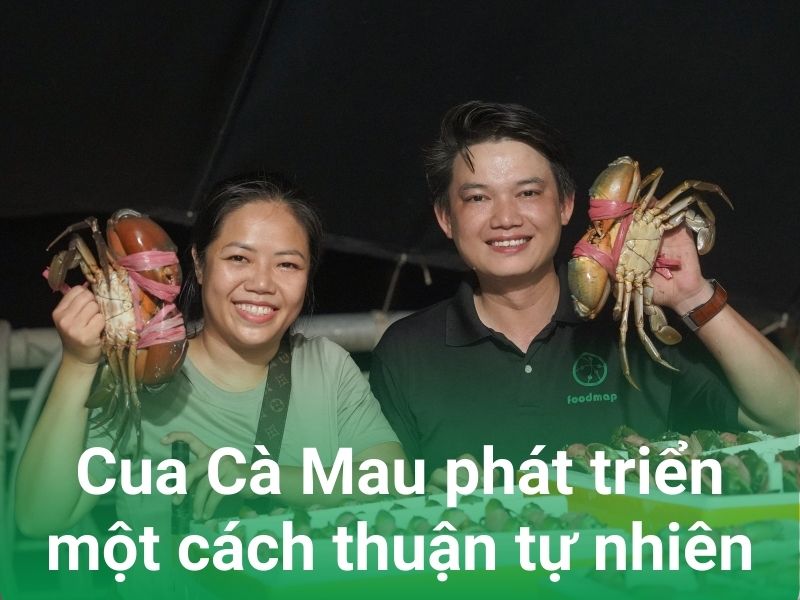 cua ca mau duoc nuoi trong thuan tu nhien