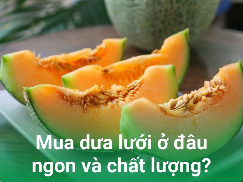 mua dua luoi o dau