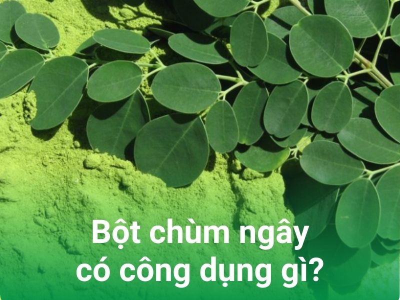 bot chum ngay co cong dung gi