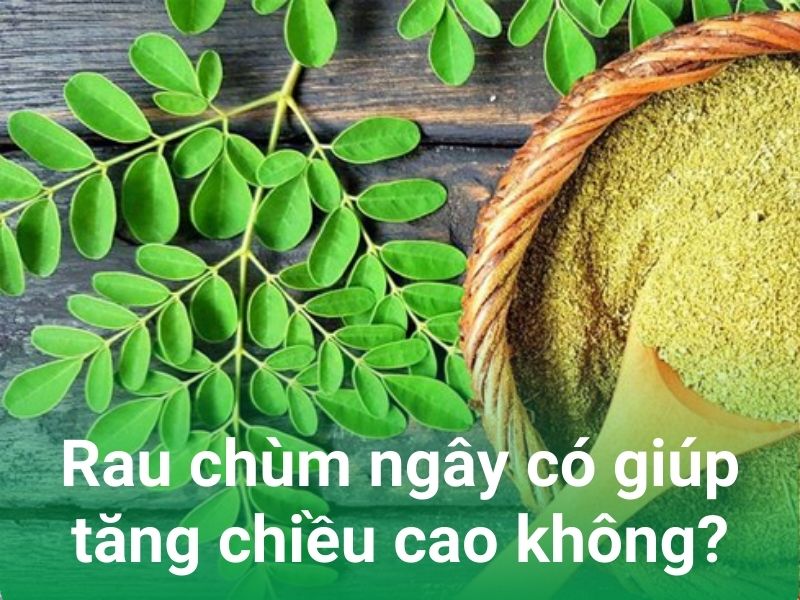 rau chum ngay co giup tang chieu cao khong