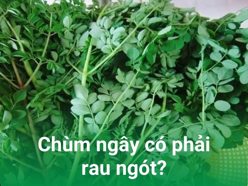 chum ngay co phai rau ngot