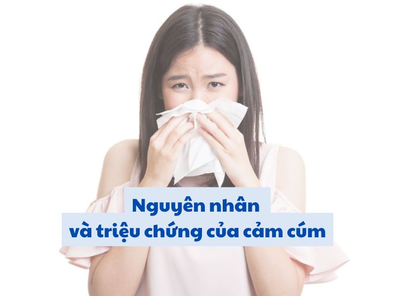 Nguyen nhan va trieu chung cua cam cum