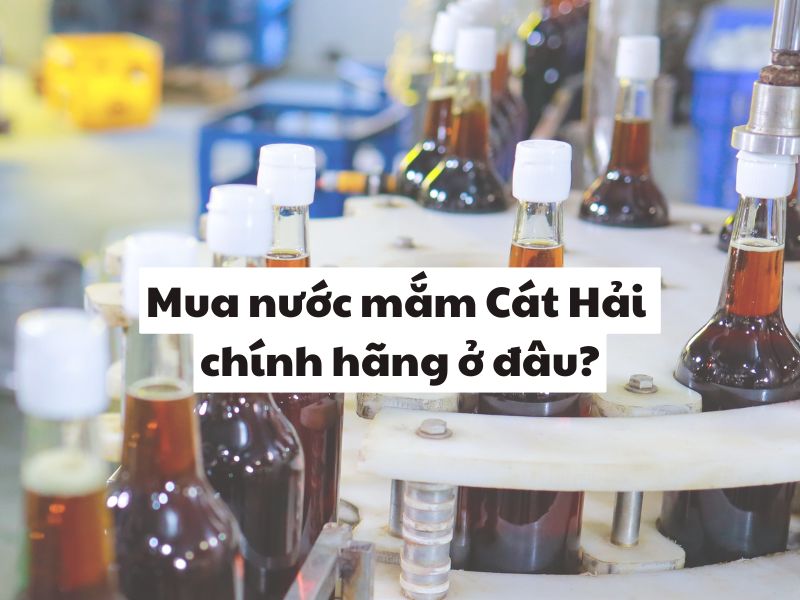 Mua nuoc mam Cat Hai chinh hang o dau