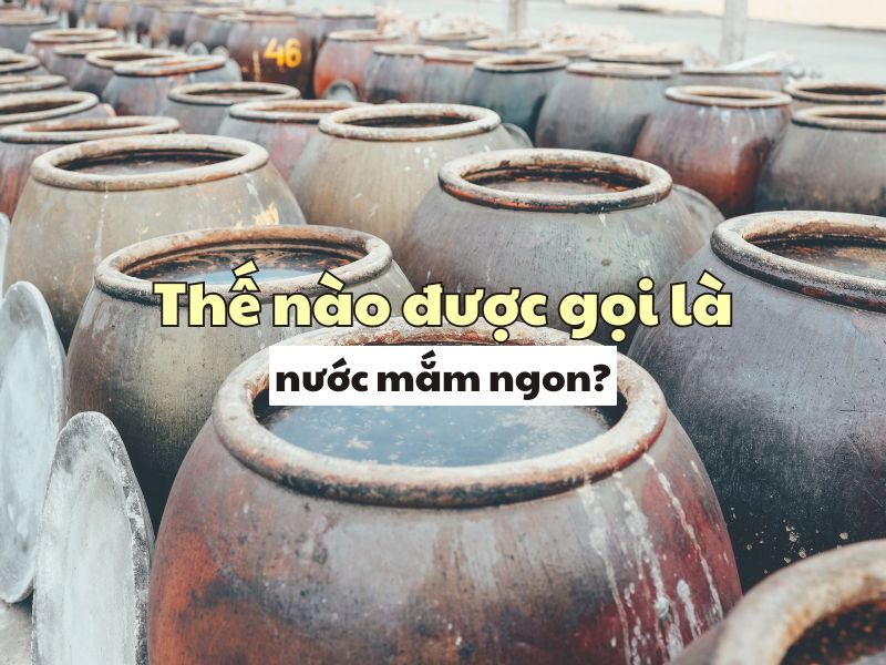 The nao duoc goi la nuoc mam ngon