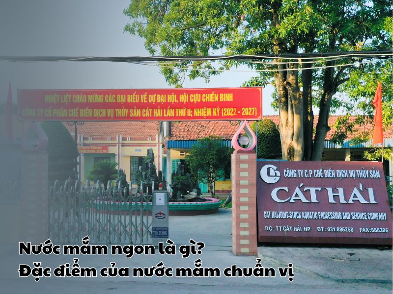 Nuoc mam ngon la gi? Dac diem cua nuoc mam chuan vi