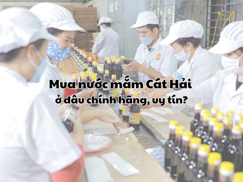 Mua nuoc mam Cat Hai o dau chinh hang, uy tin