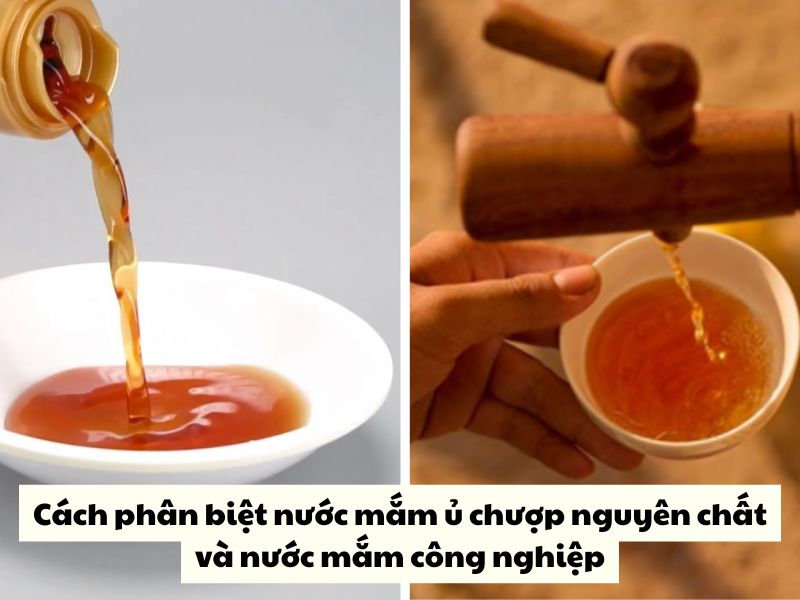 Phan biet nuoc mam nguyen chat và nuoc mam cong nghiep