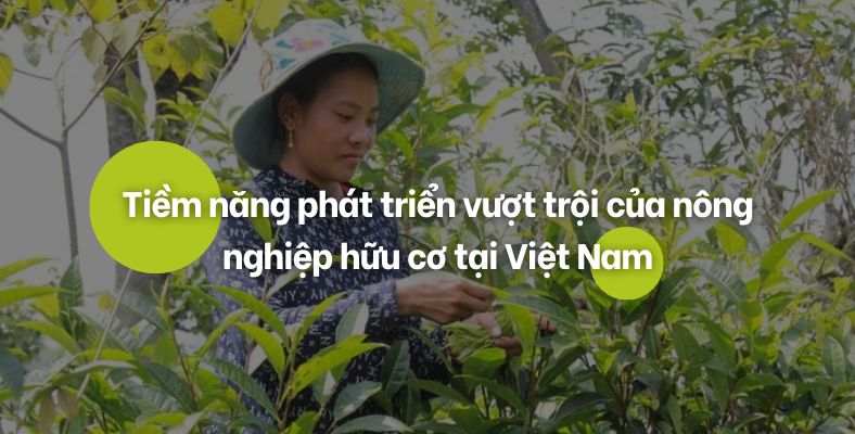 tiem nang trong nong nghiep huu co cua Viet Nam