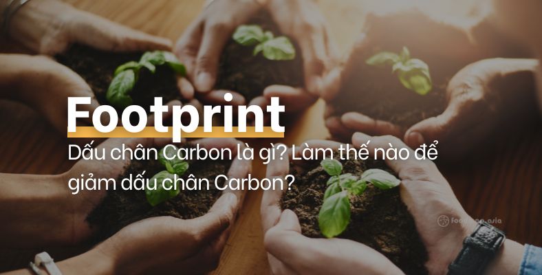 carbon footprint